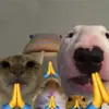 Damien Kirk - @gilberto_holder683666 - TikTok
