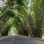 Gilbert H Robles Holguin - @holguingilberth - Instagram