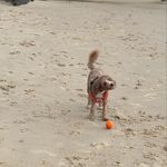 Gilbert - @gilbert_summer_holiday - Instagram