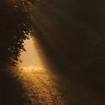 Gilbert Hopper - @gilberthopper - Instagram