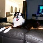 Gilbert houck - @houck9868 - Instagram