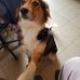 Gilbert Huber - Facebook
