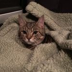 Gilbert Hunt - @mrgilbert101 - Instagram