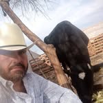 gilberto jauregui garcia - @gilbertojaureguigarcia - Instagram