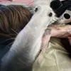 Gilbert - @gilbert.dejesuss - TikTok
