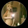 Gilbertjesus - @gilbertolara69 - TikTok