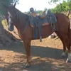 Gilberto Jesus - @gilberto.jesus00 - TikTok