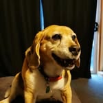 Gilbert Johnson - @gilbert._.johnson - Instagram