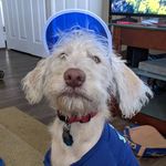 Floyd Gilbert Kirk - @goodboyfloyd_20 - Instagram