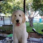 Kirk Gilbert - @kirkgilbert60 - Instagram