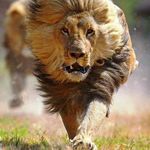Gilbert Levy - @gilbert.levy.3720 - Instagram