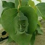 Gilbert Levy - @gilbert.levy.33 - Instagram