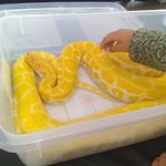 Gilbert Limon - @limon_gilbert - Instagram