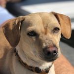 Gilbert (the) Grape - @littlegilbertgrape - Instagram