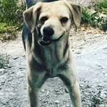 Gilbert - @loyagilbert7 - Instagram