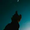 Gilbert - @gilbertoloya20 - TikTok