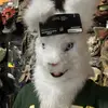 Lucas.Gilbert - @lucas.gilbert1 - TikTok