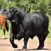 g - @gilbertomanriquez6 - TikTok