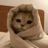 GilbertMcdaniel - @rosabmxvq8r - TikTok