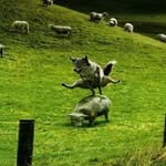 Gilbert McLean - @gilbertmclean1959 - Instagram