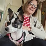 Debbie Gilbert Mitchell - @debbie.g.mitchell.3 - Instagram