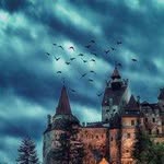 Kerim Erbay 792 - @gilbertmitchell_28251 - Instagram