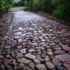 Gilbert Molina - @gilbert.molina4 - TikTok