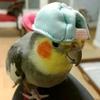 Gilbert Morris - @gilbertmorris659 - TikTok