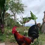Gilbert Malayon - Facebook