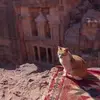 gilbert nava - @gilbert.nava2 - TikTok