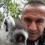 gIlbert O'brien - @gilbert.obrien - Instagram