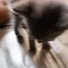 Gilbert Ontiveros - @gilbert.ontiveros - TikTok