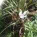 Gilbert Orta - Facebook