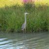 Gilbert Ouellette - @gilbert.ouellette - TikTok