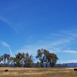 Gilbert Park - @gilbertwpark - Instagram