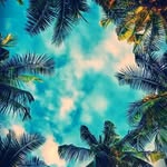 Dahlia - @gilbertperkinsiyt7602 - Instagram