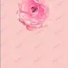 Gilbert Portillo495 - @gilbertportillo49 - TikTok