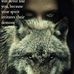 Gilbert Reed - Facebook