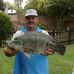 Gilbert Reed - Facebook