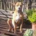 Gilbert Venessa Torre Reed - Facebook
