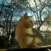 Gilbert Renaudin - Facebook