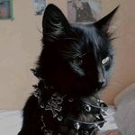 Gilbert Richmond - @gilbert.richmond - Instagram