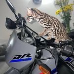 Gilbert - @gilbert.rincon_ - Instagram
