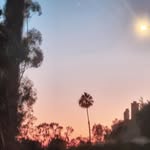 Gil Rosas Rosas - @gilbertrosas97 - Instagram