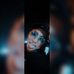 Gilbert Rosas - Facebook