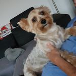 Gilbert Schmidt - @schi.gi1949 - Instagram