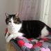 Gilbert Schmidt - Facebook