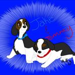 Gilbert Schmidt - @gilbertschmidt3 - Instagram