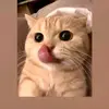 GIlbert Sena - @gilbertsena0 - TikTok