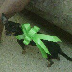 gilbert serrano - @gilserra428 - Instagram